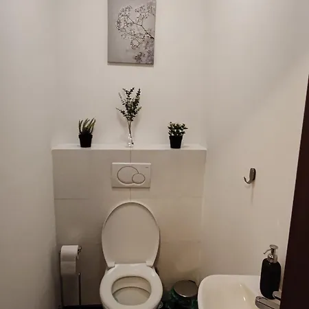 아파트 Rotunda 309 *